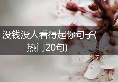 没钱没人看得起你句子(热门20句)