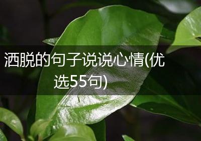 洒脱的句子说说心情(优选55句)