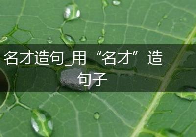 名才造句_用“名才”造句子