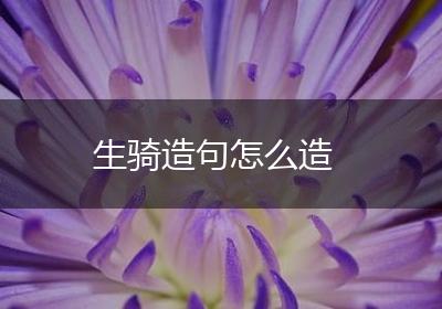 生骑造句怎么造