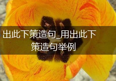 出此下策造句_用出此下策造句举例