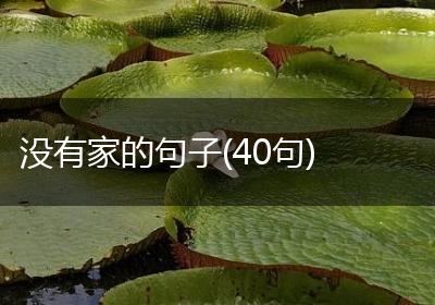 没有家的句子(40句)