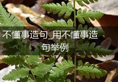 不懂事造句_用不懂事造句举例