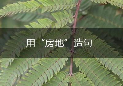 用“房地”造句