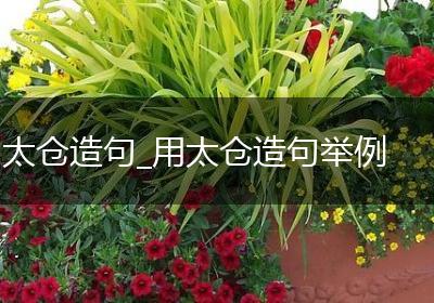 太仓造句_用太仓造句举例