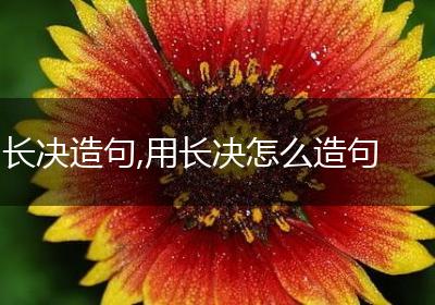 长决造句,用长决怎么造句