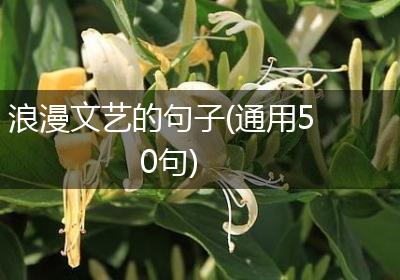 浪漫文艺的句子(通用50句)