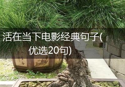 活在当下电影经典句子(优选20句)