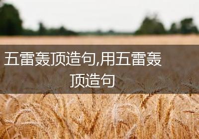 五雷轰顶造句,用五雷轰顶造句