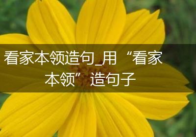 看家本领造句_用“看家本领”造句子