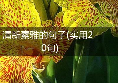 清新素雅的句子(实用20句)