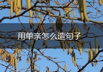 用单亲怎么造句子