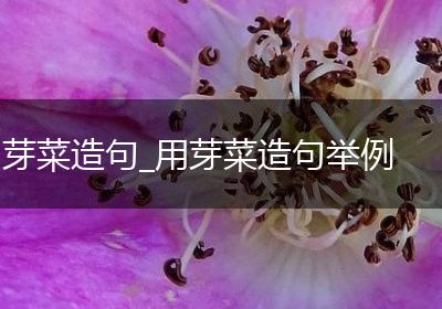 芽菜造句_用芽菜造句举例