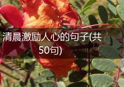 清晨激励人心的句子(共50句)