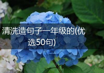 清洗造句子一年级的(优选50句)