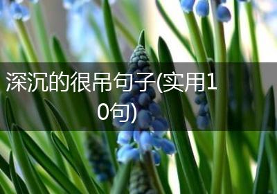 深沉的很吊句子(实用10句)