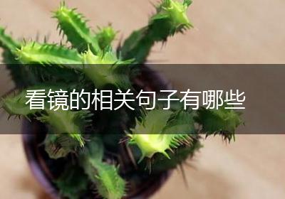 看镜的相关句子有哪些