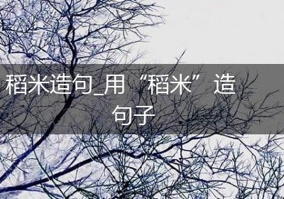 稻米造句_用“稻米”造句子