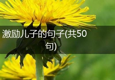 激励儿子的句子(共50句)