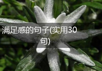 满足感的句子(实用30句)