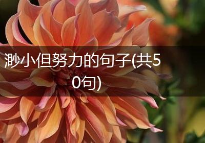 渺小但努力的句子(共50句)