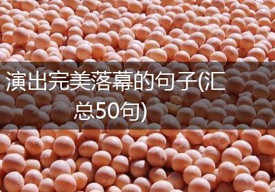 演出完美落幕的句子(汇总50句)