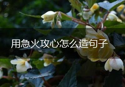 用急火攻心怎么造句子