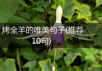 烤全羊的唯美句子(推荐10句)