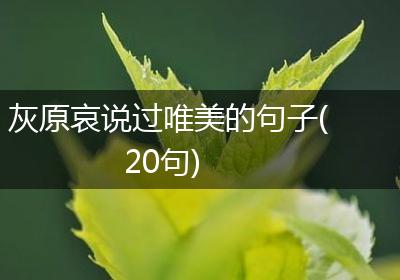 灰原哀说过唯美的句子(20句)