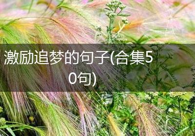 激励追梦的句子(合集50句)