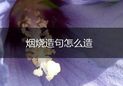 烟烧造句怎么造