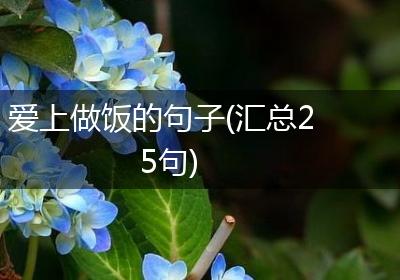 爱上做饭的句子(汇总25句)