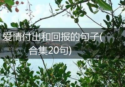 爱情付出和回报的句子(合集20句)