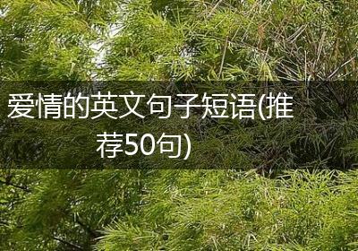 爱情的英文句子短语(推荐50句)