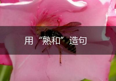 用“熟和”造句