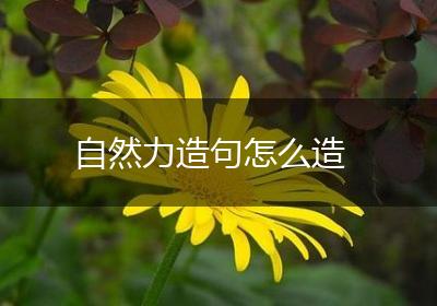 自然力造句怎么造