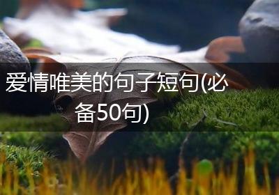 爱情唯美的句子短句(必备50句)