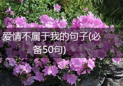 爱情不属于我的句子(必备50句)