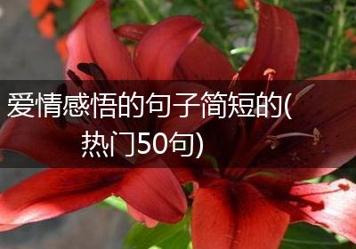 爱情感悟的句子简短的(热门50句)