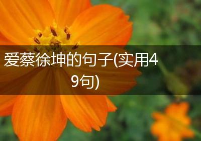 爱蔡徐坤的句子(实用49句)