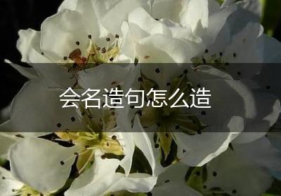 会名造句怎么造