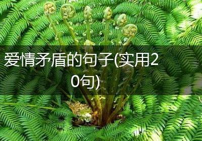 爱情矛盾的句子(实用20句)