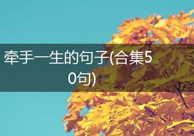 牵手一生的句子(合集50句)