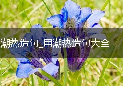 潮热造句_用潮热造句大全