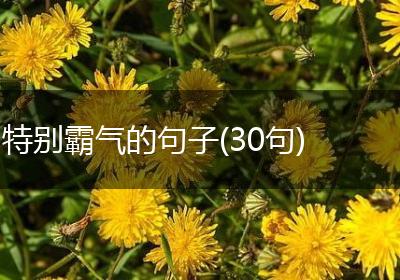 特别霸气的句子(30句)