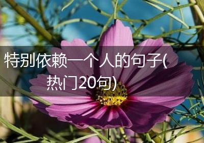 特别依赖一个人的句子(热门20句)