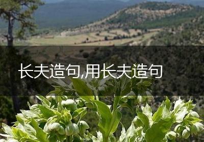 长夫造句,用长夫造句