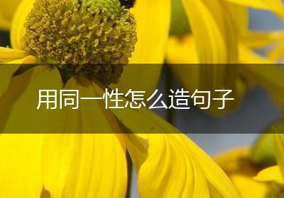 用同一性怎么造句子