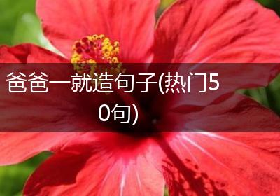 爸爸一就造句子(热门50句)