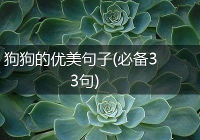 狗狗的优美句子(必备33句)